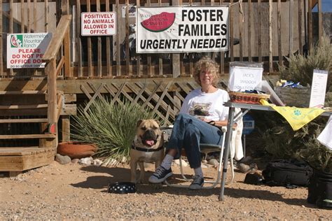 Travelin' Jack's Dog Blog: Watermelon Mountain Ranch-Animal Shelter ...