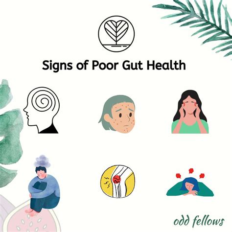 Signs of Poor Gut Health – Odd Fellows Brews
