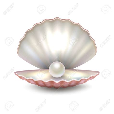 Draw Pearl Shell 的图像结果