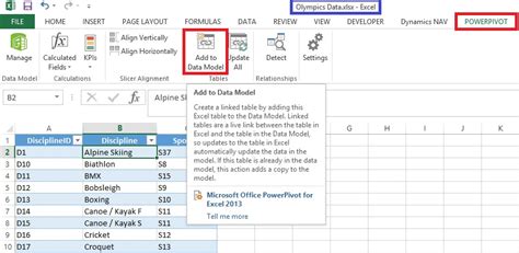 Image result for PowerPivot Data Model