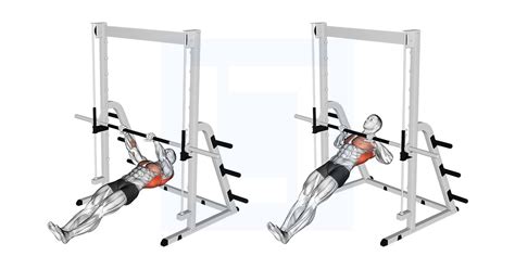 Image result for Inverted Row Exercise Muscles Worked