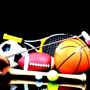 Image result for Sports Program Example