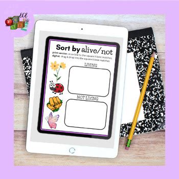 Image result for Sort Spring Worksheet