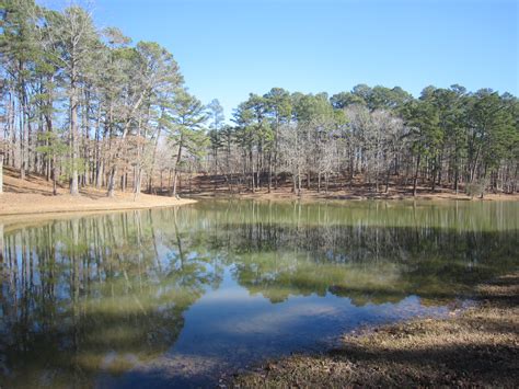 Walnut Grove Ms Water Park at Lois Katz blog