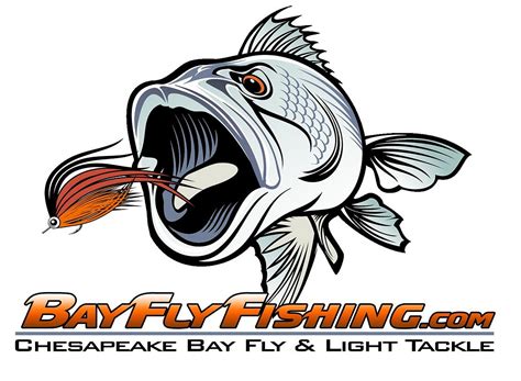 BAY FLY FISHING (2025) All You Need to Know BEFORE You Go (with Photos ...