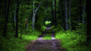 Pathway wallpapers hd, desktop backgrounds, images and pictures