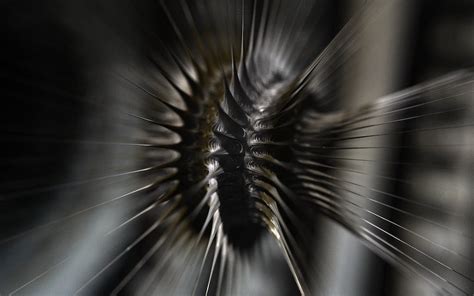 Image result for How to Build Search Engine for My Database Using Java