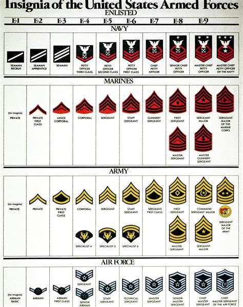 Army Nco Rank Insignia