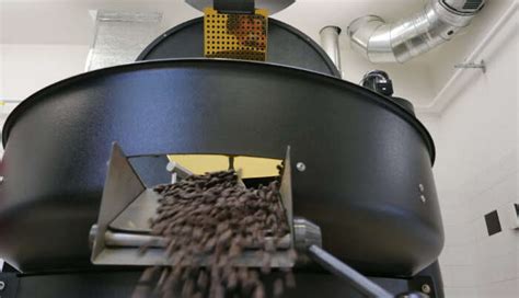 10 Amusingly Irresistible Things To Do In Port Elizabeth!