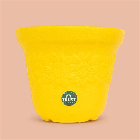 TrustBasket Sunny Pot | 6 inch Table Top Planter Pot (Pack of 4)