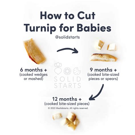 Turnip for Babies - How to safely introduce turnips? - Solid Starts