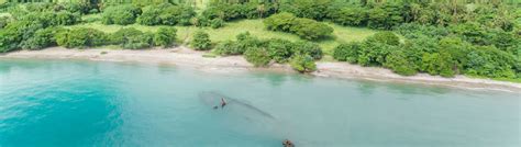 Solomon Islands Travel Guide - wheretogo