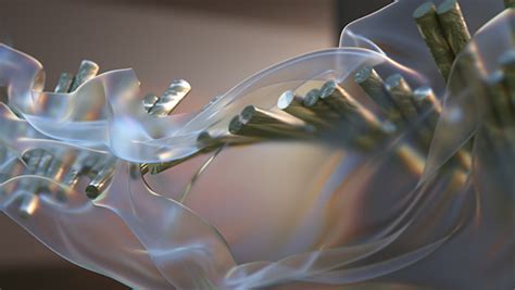 Ecobee Tutorial 的图像结果