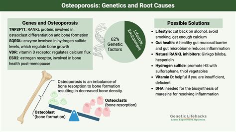 Osteoporosis: Genetic Susceptibility and Prevention Strategies