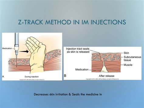 PPT - Overview of Medication Forms and Administration Routes for ...