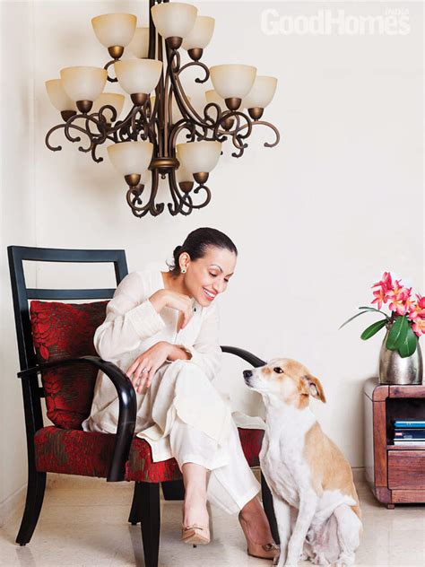The home that shares its space with 50 dogs | Goodhomes.co.in
