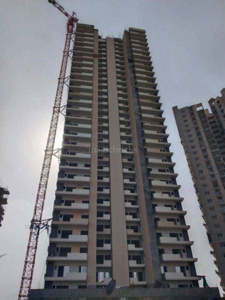 Irish Pearls in Noida Extension, Greater Noida: Price, Brochure, Floor ...