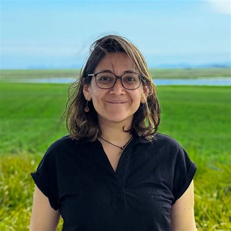 About Us - AI-powered. Artist-first. | Layer