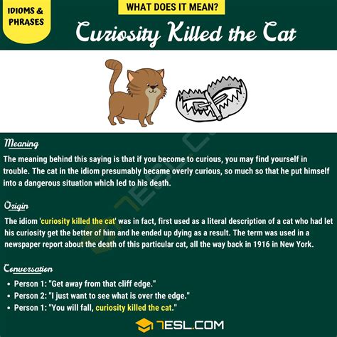 "Curiosity Killed the Cat" Meaning, Origin and Examples • 7ESL