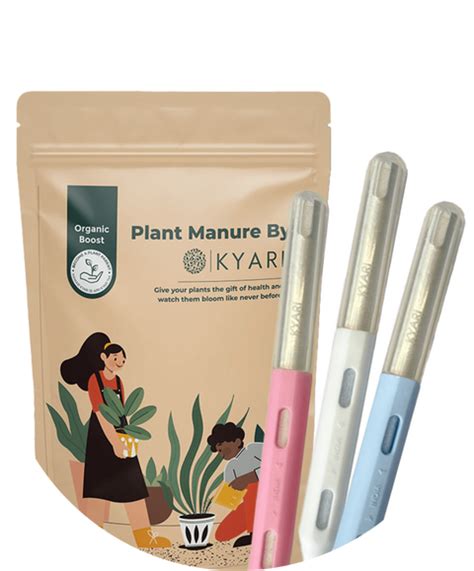 Plants and Pots Online in India at Best Prices | Kyari – Kyari.co