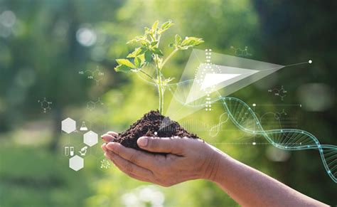 Image result for Sml Address