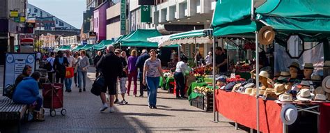 My Local Area Intro Page 的图像结果