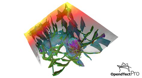 OpendTect Tutorial 的图像结果