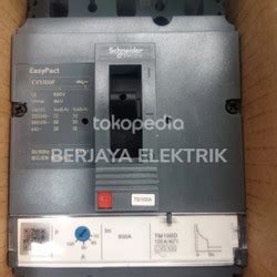 Jual MCCB 3P SCHNEIDER CVS100F 25A 32A 40A 50A 80A 63A 100A 3PHASE 36kA ...