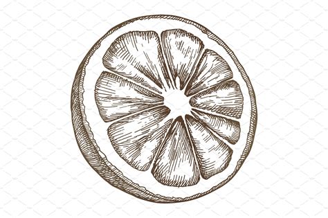 fruit drawing reference