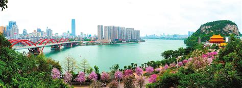 广西省唯一一个入选“中国十佳宜居城市”的城市