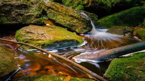 Wallpaper stream, stones, branches, foam, nature hd, picture, image