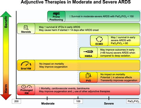 Adjunctive Therapies in Acute Respiratory Distress Syndrome - Critical Care Clinics