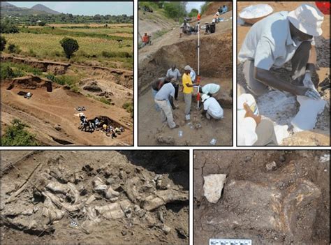 Intriguing discovery of ancient tools, butchery, and hominin teeth in ...