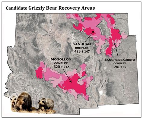 Grizzly Bears for the Southwest: History & Prospects for Grizzly Bears ...