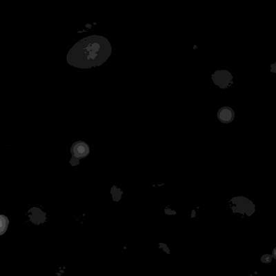 Annotated Quantitative Phase Microscopy Cell - Dataset Ninja