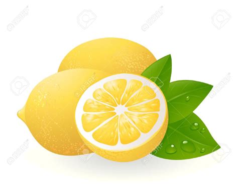 Lemon clipart printable, Lemon printable Transparent FREE for download ...