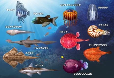 Image result for Array of Object Structure