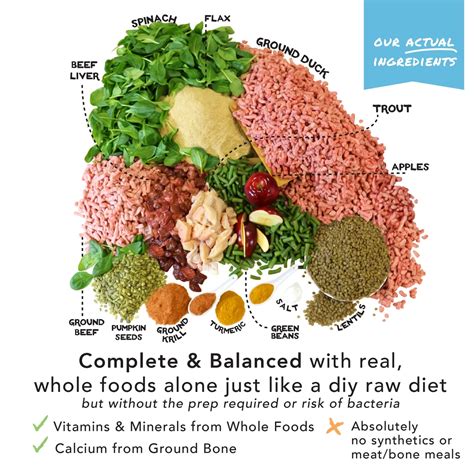 SIMPLE FOOD PROJECT 6-Pack Sample Bundle Freeze-Dried Dog Food, 6-oz ...