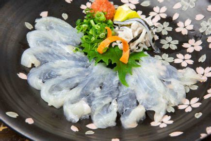 Image result for Puffer Fish Fun Facts