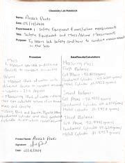 Chemistry Lab Notebook Example 的图像结果