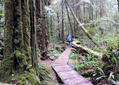 Image result for Cold Weather Activity