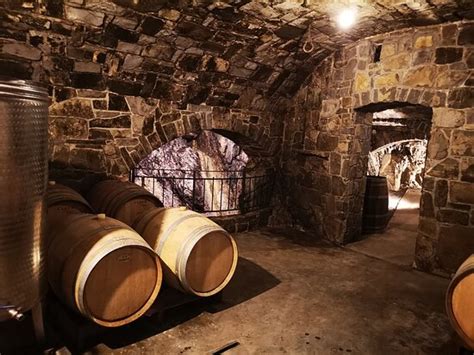 Vina Poljšak - Vipava | Tripadvisor