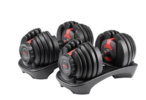 Best Full Body Exercise Machine 的图像结果