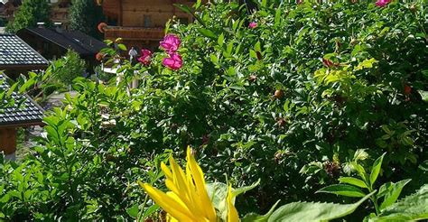 Bogawantalawa Tourism (2023): Best of Bogawantalawa, Sri Lanka ...