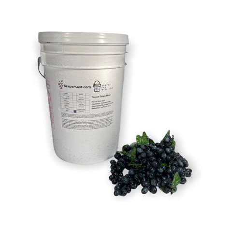 2020 Merlot Livermore Valley Frozen Grape Must