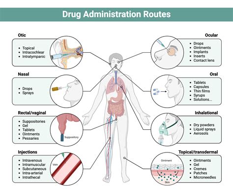 Drug Administration Routes | BioRender Science Templates
