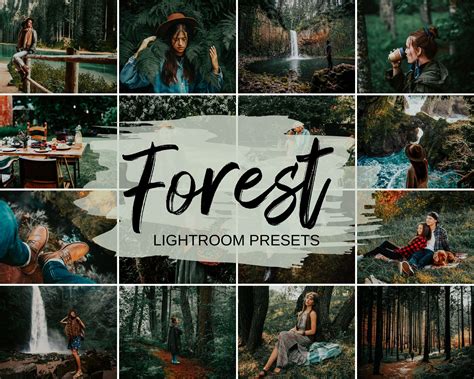 Forest Lightroom Presets Mobile & Desktop - FilterGrade