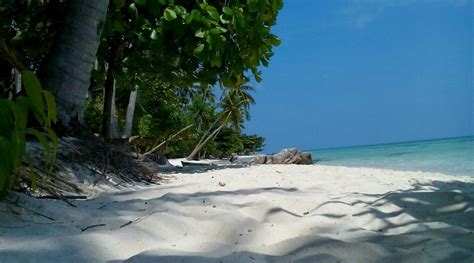 AZZA HOMESTAY (Karimun Jawa, Java) - Guesthouse Reviews & Photos ...