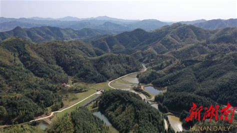 畅通林业管护“最后一公里” 全力打造林长制“岳阳县模式” - 岳阳县 - 新湖南