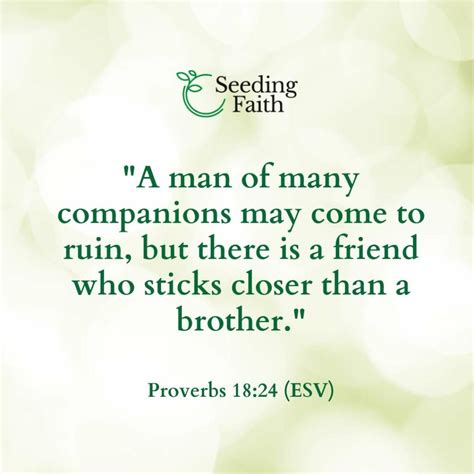 Friendship in the Bible - Bible Verses on Friendship